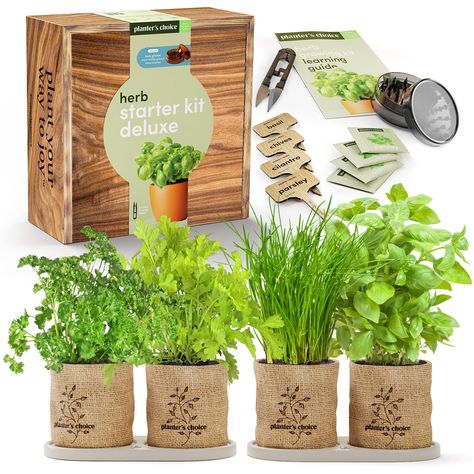 Herb Window Garden, Herb Window, Gardening Seeds, Homesick Candles, Herb Garden Kit, Cooking Gift, Herb Gardening, Plant Growing, Culinary Herbs