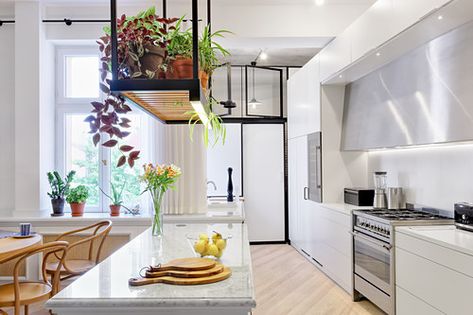 Suspended shelf above island counter in bright, open-plan kitchen Hanging Plant Over Kitchen Island, Hanging Shelf Over Kitchen Island, Hanging Shelf Above Kitchen Island, What To Hang Above Kitchen Island, Kitchen Island Hanging Plants, Ceiling Shelf Kitchen, Plants Above Kitchen Island, Suspended Shelves Kitchen, Kitchen Island Shelf