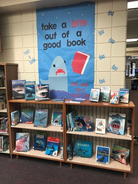 Dive Into A Good Book Display, Shark Bulletin Board, Shark Classroom Theme, Under The Sea Book Fair Ideas, Shark Door Decoration, Under The Sea Library Theme, Ocean Themed Library Display, Under The Sea Themed Book Fair, Under The Sea Library Bulletin Board