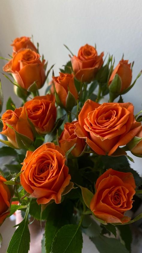 Luxury Bouquet, Orange Bouquets, Fleur Orange, Vintage Flowers Wallpaper, Boquette Flowers, Lovely Flowers Wallpaper, Nothing But Flowers, Bouquet Arrangements, Flower Therapy