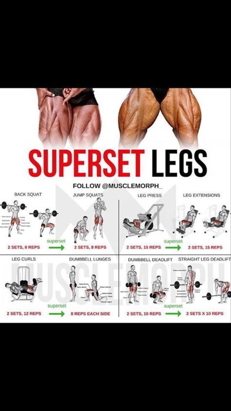 Quads And Abs Workout, Quads And Hamstrings Workout Gym, Quad Workout Men, Quad And Hamstring Workout, Quads And Hamstrings Workout, Hams Workout, Quads And Glutes Workout, Glutes And Quads Workout, Hamstrings Workout