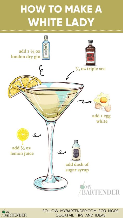 Elevate your cocktail game with the timeless sophistication of a White Lady! 🍸✨ Immerse yourself in the delicate balance of gin, triple sec, and fresh lemon juice, creating a drink that's both crisp and elegant. Unleash the classic charm of this cocktail and toast to refined taste. Cheers to the perfect blend of simplicity and style! 🌟🍋 #WhiteLadyCocktail Tart Cocktails, White Lady Drink, Bartending Basics, White Lady Cocktail, Triple Sec Cocktails, Bartender Drinks Recipes, Vintage Cocktails, Bartender Drinks, Orange Liqueur