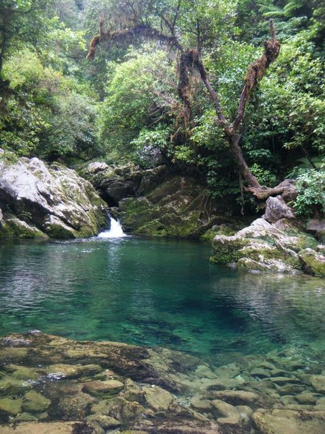 Rivers In Forest, Forest With River, River Aesthetic, River Scenery, River Pictures, River Water, River View, Images Esthétiques, Vacation Places