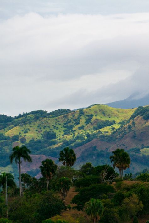 The Dominican Republic is full of rolling hills. There are some pretty big mountains in the area as well. This beautiful spot overlooks miles of rolling hills and the ocean. - Gusmansito, Dominican Republic Haiti And Dominican Republic, Ethical Travel, Tropical Countries, Big Mountain, Our Place, Art Idea, The Dominican Republic, Mountain Climbing, Beautiful Country