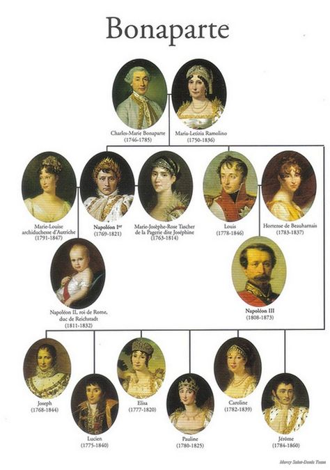 Arbol genealógico de la familia Bonaparte France History, Royal Family Trees, Royal History, French Royalty, Foto Langka, Napoleon Bonaparte, French History, Classical Conversations, Different People