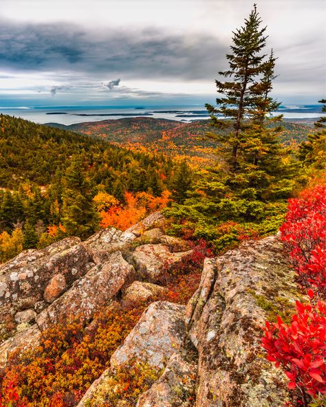 Acadia National Park Winter, Acadia National Park Fall, Maine National Park, Acadia Maine, Maine In The Fall, Maine Winter, Acadia National Park Maine, Bar Harbor Maine, Coastal Maine