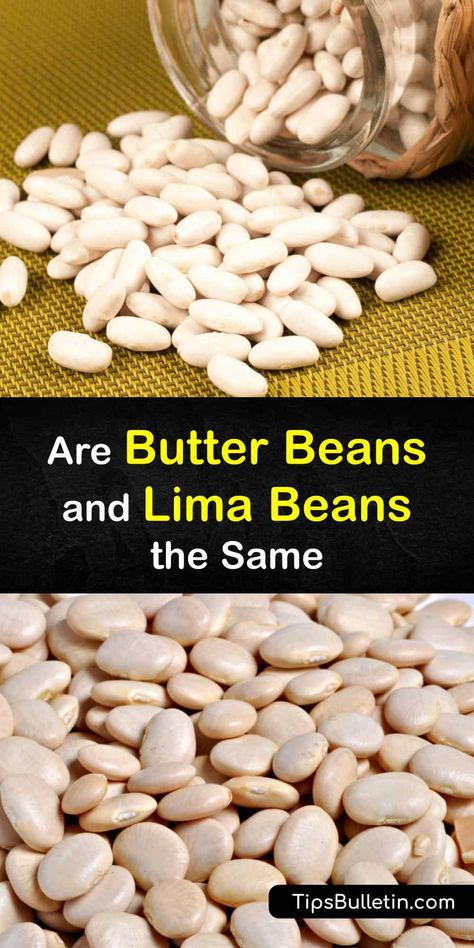 Burgoo Recipe, Lima Bean Recipes, Butter Beans Recipe, Mediterranean Diet Recipes Dinners, Vegetable Benefits, Low Glycemic Foods, Lima Bean, Lima Beans, Low Cal Recipes