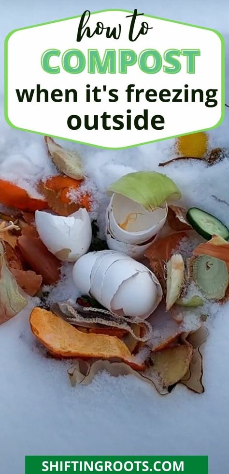 Composting In Winter, Winter Compost, Winter Composting, Compost Bin Ideas, Outdoor Compost Bin, Best Compost Bin, How To Start Composting, Making A Compost Bin, How To Compost