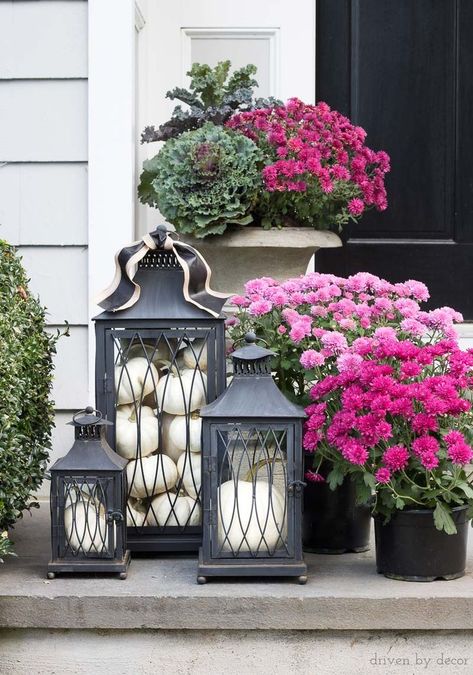 Love this trio of black lanterns filled with pumpkins (and the mums too!) for a fall front porch #fall #falldecor #mums #lanterns #pumpkins Fall Decor Apartment, Wreaths For, Driven By Decor, Fall Decor Inspiration, Fall Planters, Fall Front Porch Decor, Meteor Garden 2018, Front Steps, Fall Thanksgiving Decor