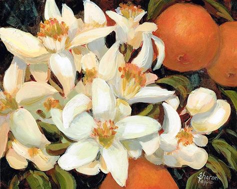 Orange Blossoms by Sharon Repple Acrylic ~ 8" x 10" Orange Artwork, Orange Blossoms, Acrylic Painting Flowers, Blossom Tattoo, Blossoms Art, Fruit Painting, Flower Art Painting, Blossom Flower, Nature Aesthetic