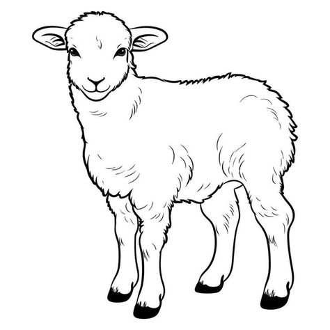 Lamb Sketch Drawing, Sheep Drawing Simple, Lamb Clipart, Christmas Nativity Images, Lamb Drawing, Sheep Clipart, Sheep Drawing, Lion And Lamb, Paper Crafts Diy Tutorials