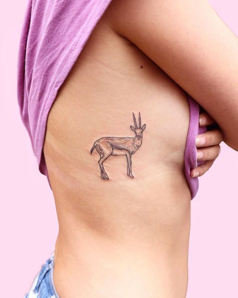 Gazelle Tattoo Small, Gazelle Tattoo, Antelope Tattoo, Tattoo On Ribs, Random Animals, London Tattoo, Line Work Tattoo, Dot Work Tattoo, Rib Tattoo