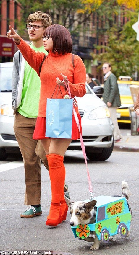 Scooby Doo Disfraz, Best Dog Halloween Costumes, Puppy Halloween Costumes, Lou Dog, Best Dog Costumes, Anime Festival, Cat Costume Diy, Matching Halloween Costumes, Cute Couple Halloween Costumes