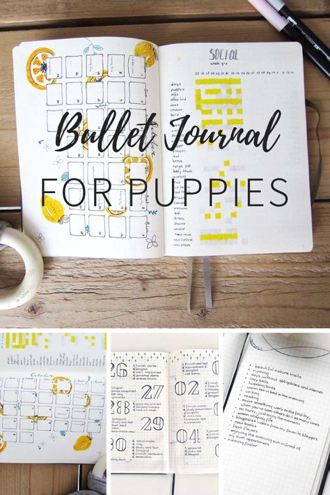 How to set up a Bullet Journal for your new puppy (or dog) with lots of photo's and ideas for reasing a perfectly balanced pup Pet Journal Ideas, Dog Journal Ideas, Puppy Set Up Ideas, Puppy Journal, Kdp Ideas, Pet Journal, Pet Planner, Puppy Essentials, New Puppy Checklist