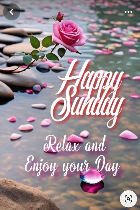 Good Sunday Morning Gif, Sunday Greetings Good Morning, Happy Sunday Images Beautiful, Good Morning Sunday Wishes, Sunday Good Morning Images, Good Morning Sunday Blessings, Blessings Sunday, Happy Sunday Good Morning, Happy Sunday Pictures