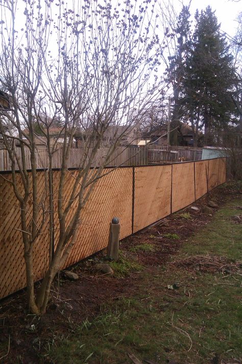 This is the long view of my solution to an ugly chain link view.  Privacy lattice framed with aluminum J channel ( spray painted it black). J channel fits perfectly over the edges of lattice, creating a finished frame look.  Zip tie it all together and to the fence and good to go. One person project ( although two would make levelling it a bit easier!)  I am proud of this solution ( the J channel part is brilliant if I do say so myself!) Painted Chain Link Fence, Exterior Fencing, Privacy Lattice, Chain Link Fence Privacy, Black Chain Link Fence, Fence Decorations, Lattice Fence, Diy Fence, Covered Pergola