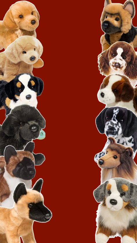 Essa Dog Plush, Douglas Dog, Collage Book, Dog Items, Cute Dogs, I Want, Collage, Toys, Dogs