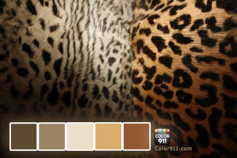 Arabian Leopard, Phone Customization, Animal Magnetism, Africa Animals, Skin Color Palette, Earthy Color Palette, Walk On The Wild Side, Black Animals, Take A Walk