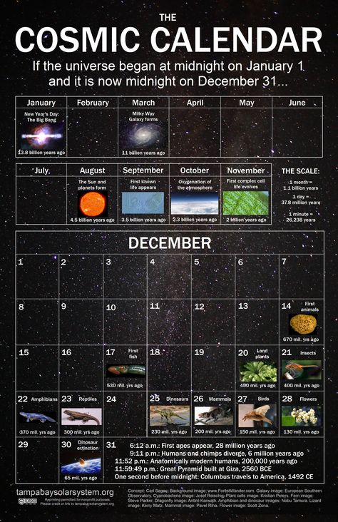 Cosmic Calendar Model Of The Solar System, Cosmic Calendar, Information About Space, Facts About Earth, What Will Happen Next, Astro Science, Astronomy Poster, Astronomy Facts, Astronomy Science