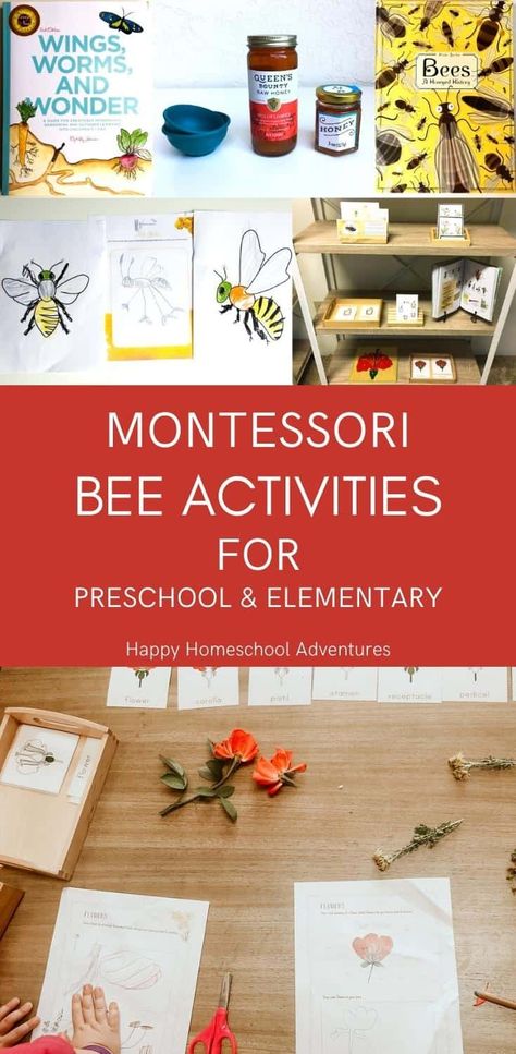 Affordable Montessori Bee Activities for Preschool and Elementary students containing books, printables, and hands-on materials. Interdisciplinary bee activities for kids. All subject areas, including Practical Life and Ecology. Bee Activities For Preschool, Bee Activities For Kids, Spring Crafts Preschool, Montessori Science, Animal Activities For Kids, Bee Activities, Science Experiments For Preschoolers, Nature Education, Homeschool Elementary