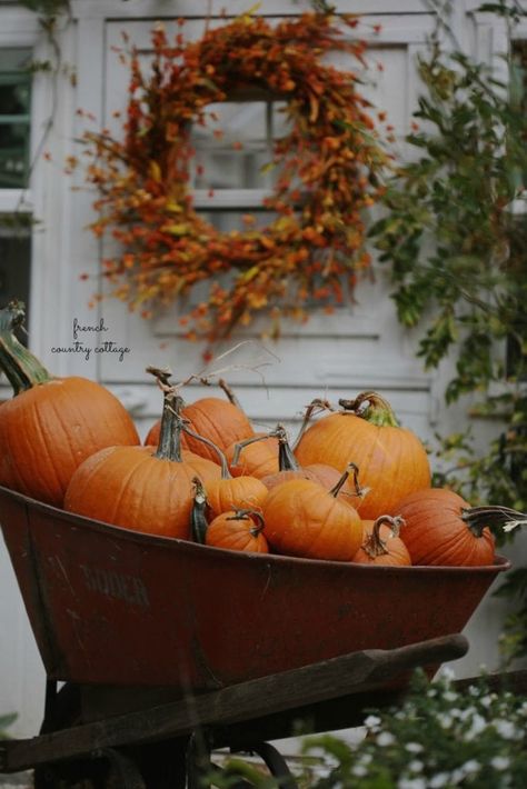 Simple and charming Autumn Greenhouse - French Country Cottage Halloween Decorations Outdoor Porch, Modern Fall Decor, Fall Pumpkin Decor, Fall Decor Inspiration, Decor Shabby Chic, Modern Fall, Autumn Beauty, Autumn Cozy, Fall Favorites