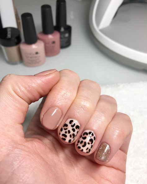 Leopard print nails by get__glossed 🤩 Leopard Print Nails, Cnd Shellac, Leopard Print, Gel Nails, Rings For Men, Nails, Beauty