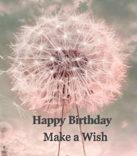 Happy Birthday Wishes Images Funny, Happy Birthday Make A Wish, Happy Birthday Wishes Messages, Birthday Wishes Greetings, Birthday Greetings Friend, Happy Birthday Art, Happy Birthday Greetings Friends, Happy Birthday Wishes Images, Happy Birthday Celebration