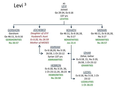 Levi Son of Jacob Bible Family Tree, Bible Genealogy, Quick View Bible, Sons Of Jacob, Bible Mapping, Online Bible Study, Bible Study Tips, Bible Quotes Prayer, Verse Quotes