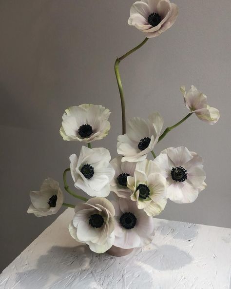 Florals for spring? While some ideas may not be ‘groundbreaking’, you can definitely add a fresh twist to popular classics🤍 From anemones to peonies, here are some spring flowers we adore for the wedding season 💐 #theroberomanceloves #weddingbouquet #weddinginspiration #bridetobe Anemones Wedding Bouquet, Anemones Flower, Anemone Wedding, Unique Bridal Bouquets, Anemone Bouquet, Peony Arrangement, Unique Floral Arrangements, Anemone Flower, Wedding Florals