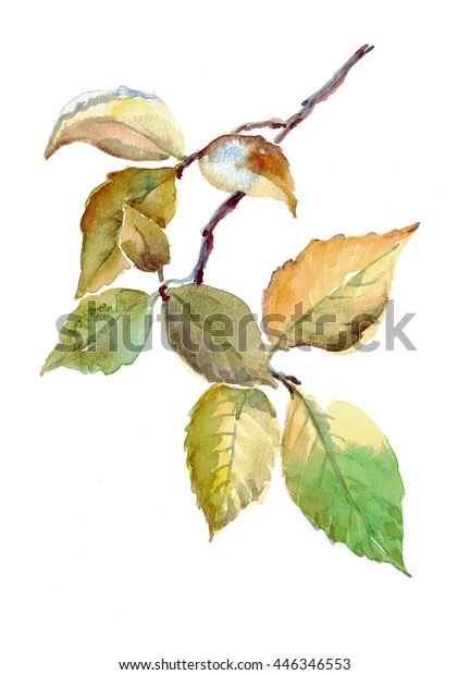 Watercolor Branch Leaves Stock Illustration 446346553 Watercolor Branches, Vine Drawing, Branch With Leaves, Branch Leaves, Birch Tree Art, Watercolor Leaf, Branch Art, Nature Watercolor, Flower Art Drawing