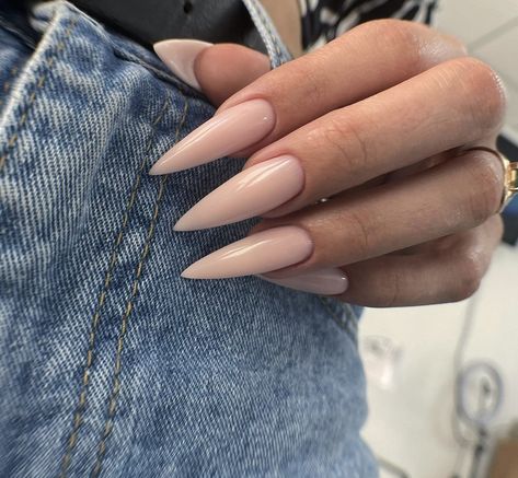 Stilleto Nails Neutral, Long Almond Nude Nails, Nude Nails With Design Almond, Nail Ideas Long Almond, Beige Stiletto Nails, Nude Stiletto Nail Designs, Stiletto Nude Nails, Almondetto Nails, Nude Long Nails