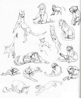 kitty poses...for the story my dad told me as a kid// good ideas and the site has tips on animating for anthropomorphism. perfect Cat Anatomy, Drawing Eyes, Cat Sketch, 강아지 그림, Animal Study, Cat Pose, Animal Sketches, Arte Animal, Art And Illustration