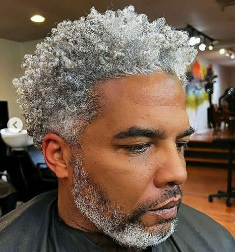 Grey Hair Black Man, Hair Fall Men, Stylish Hair Colors, Black And Grey Hair, Grey Hair Men, Black Men Beards, Men With Grey Hair, Mens Hair Colour, Dreadlock Hairstyles For Men