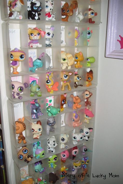 Gallery Design Ideas, Ikea Room, Lps Toys, Lps Littlest Pet Shop, Pet Bunny, Shop Storage, Shop Organization, Gallery Design, Marathons