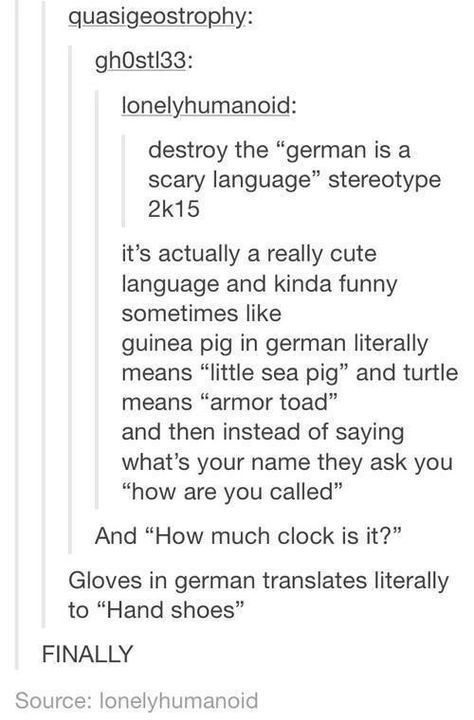 German is actually really cute German Accent, Sea Pig, Romance Languages, Funny Tumblr, Oh My Goodness, Learn German, Funny Tumblr Posts, What’s Going On, Video Chat