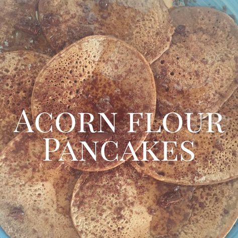 Acorn Recipe, Acorn Flour, Prepper Food, Native American Food, Wild Food Foraging, No Flour Pancakes, Native Foods, Flour Pancakes, Foraging Recipes