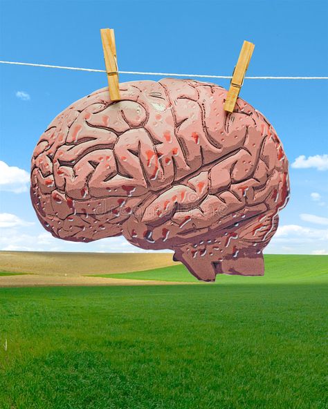 Brainwash. Washed brain drying in the foreground , #spon, #Washed, #Brainwash, #brain, #foreground, #drying #ad Brain Wash, Funny Commercial Ads, Persuasive Techniques, Art Of Persuasion, Emotional Vampire, Brain Scan, Funny Commercials, Snap Out Of It, Stock Photography Free