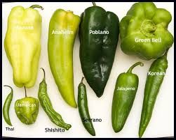 20 Different Types of Peppers and Their Delicious Uses Types Of Peppers, Salsa Picante, Baked Apple Pie, Olive Oil Cake, Green Peppers, Chile Pepper, Food Info, Chilli Pepper, Spices And Herbs