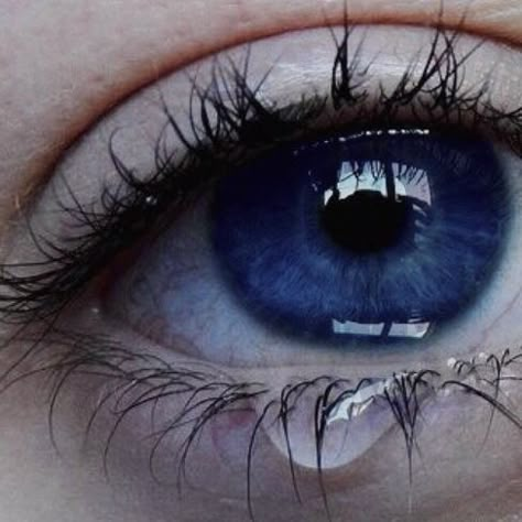 Dark Blue Eyes Aesthetic, The Selection Aesthetic, Blue Eyes Aesthetic, Serpent And Dove, Indigo Eyes, Eye References, Monty Jay, Dark Blue Eyes, Kiera Cass