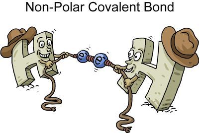 Non-Polar Covalent Bond: a bond where the electrons are shared equally-Jillian Charland Covalent Bond Cartoon, Covalent And Ionic Bonds, Chemistry Bonding, Covalent Bonds, Science Cartoons, Chemistry Basics, Ionic Bonding, Chemistry Education, Chemistry Classroom