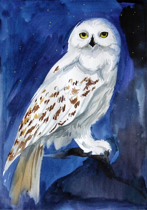 Snowy Owl Painting, Owl Canvas Painting, Harry Potter Library, Harry Potter Painting, Harry Potter Owl, Owl Watercolor, Owl Artwork, Desenhos Harry Potter, Harry Potter Artwork