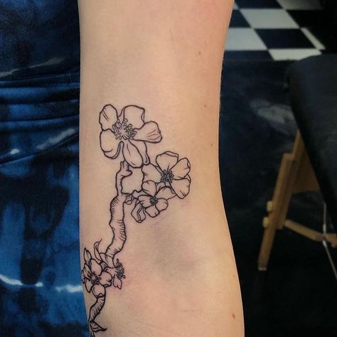 Van Gogh Tattoo, Sunflower Tattoo, Tattoo Work, Van Gogh, I Tattoo, Tattoo Artists, Tatting, Tattoos, Instagram