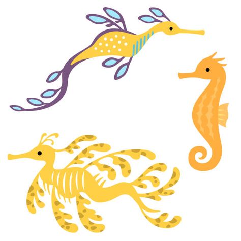 Dragons Illustration, Seahorse Illustration, Leafy Sea Dragon, Sea Dragons, Ocean Illustration, Dragon Illustration, Sea Dragon, Little Doodles, Kids Play Area