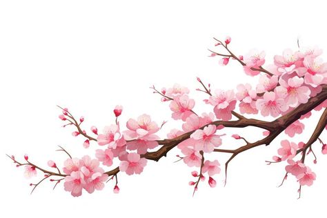 Sakura Background, Blossom Branch, Blog Banner, Flower Branch, Cherry Tree, Flower Plant, Download Free Images, Art Class, Facebook Cover