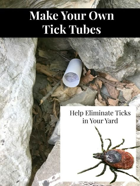 Natural Tick Repellent For Yard, Tick Repellent For Yard, Tick Control For Yard, Tick Spray For Yard, Tick Tubes, Homemade Tick Repellent, Get Rid Of Ticks, Natural Mosquito Repellent, Tick Spray