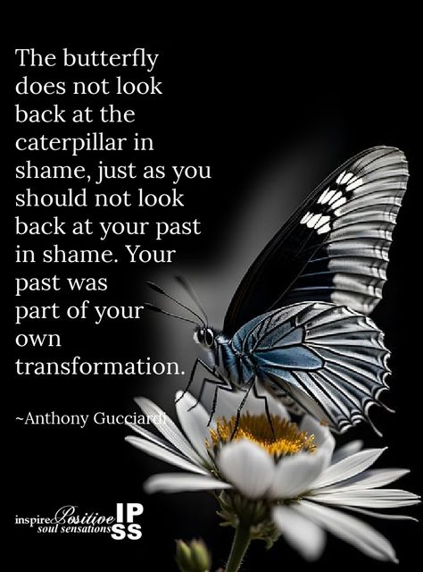 The butterfly does not... - Inspire Positive Soul Sensations | Facebook Inspire Positive Soul Sensations Quotes, Inspire Positive Soul Sensations, Butterfly Quotes, Dont Look Back, Tough Times, The Butterfly, Verse Quotes, Bible Verses Quotes, Caterpillar