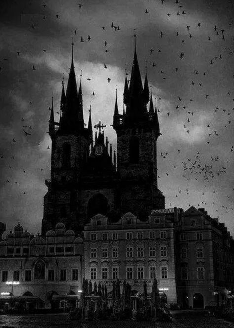 ___╋ I love Gothic ╋___ Goth Castle, Goth Architecture, Gothic Academia, Victorian Castle, Vampire Castle, Dark Castle, Gothic Castle, Black Castle, Gothic Cathedrals