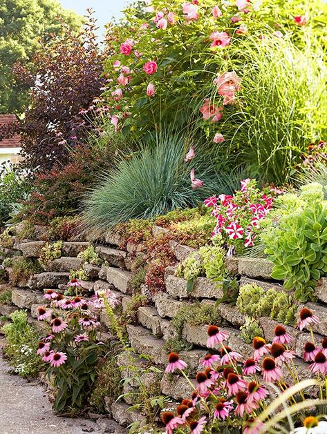 Landscaping A Slope, Garden Problems, Sloped Yard, Courtyard Gardens, Landscape Plants, Hillside Landscaping, Garden Solutions, Sloped Garden, Easy Landscaping