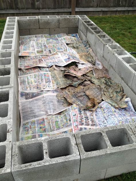 Cinder Block Raised Garden Bed, Raised Garden Beds Cinder Blocks, Cinder Block Raised Garden, Cinder Block Garden Bed, Cinder Blocks Diy, Raised Garden Beds Diy Vegetables, Rocks Landscaping, Cinder Block Garden, Raised Vegetable Gardens