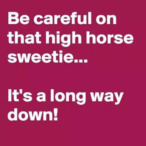 High Horse Quotes, Sweetie Quotes, High Horse, Horse Quotes, Be Careful, Way Down, Quotes Funny, Comedians, Wise Words